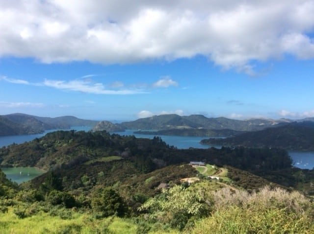Whangaroa Harbour at its best