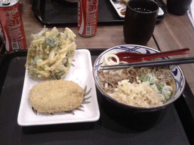 Niku Udon