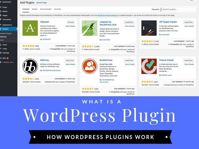 What is a WordPress Plugin