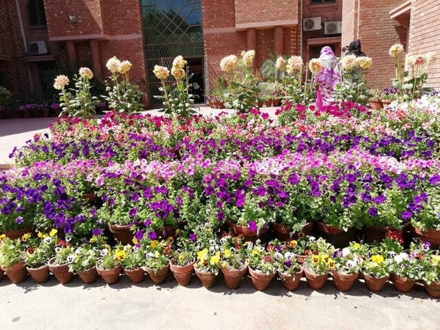 29573194_1594061183974710_1715835804343949669_n