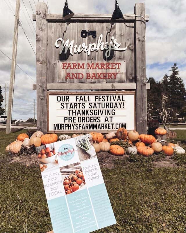 Murphy's Farm Pumpkin Patch