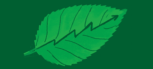 Illustration by Yarek Waszul