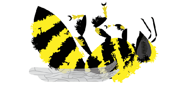 Bee Illustration by Matthew Hollister