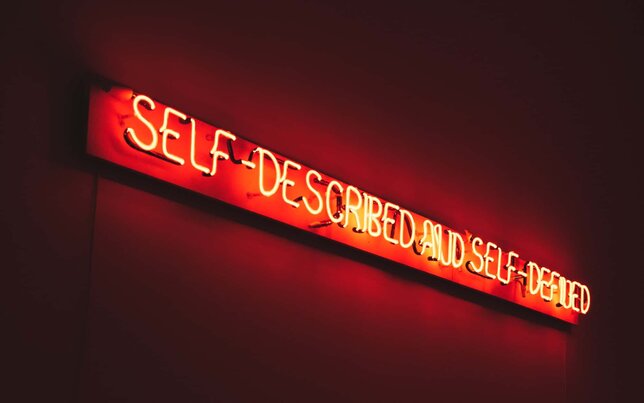 what is the ego self described and self defined sign