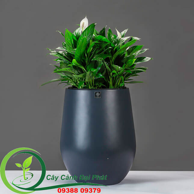 Chậu composite tròn bầu T2