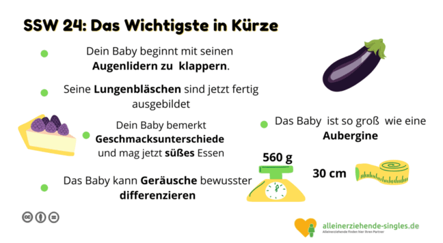 Schwangerschaftswoche 24