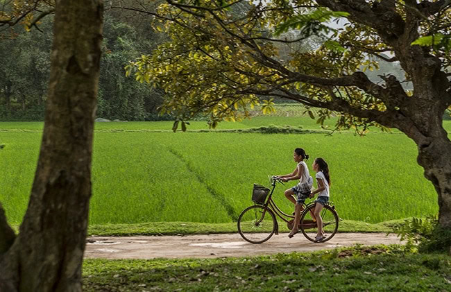 Kids on a bike