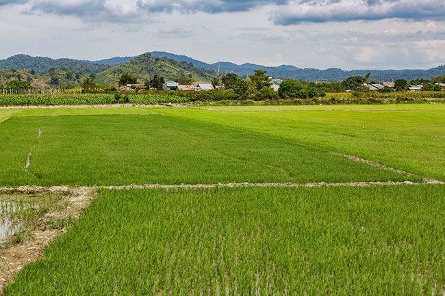 From Ðưc Trọng to Buôn Ma Thuột 3