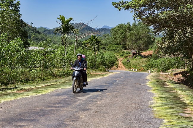 On the Ho Chi Minh Highway - The locals dry grass which will become brooms later