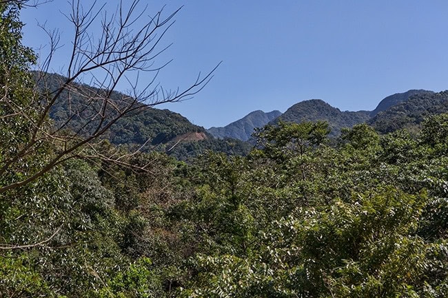 You can see how the street cuts into the green mountains