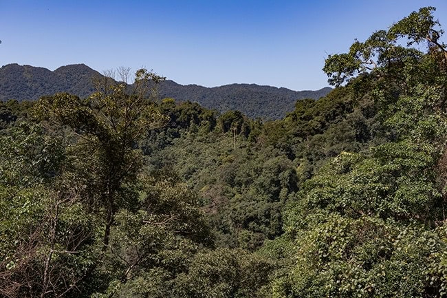 Less and less farming along the road and more natural forest