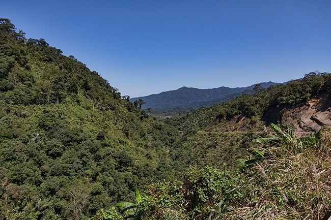 More curves and more forest - with a banana plantation on the left