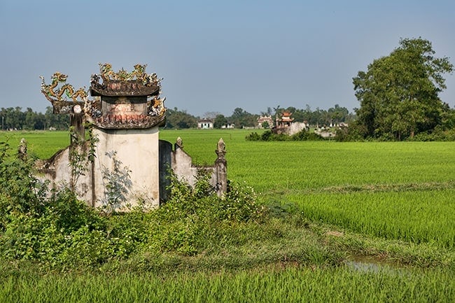 Grave in the Rice Fields