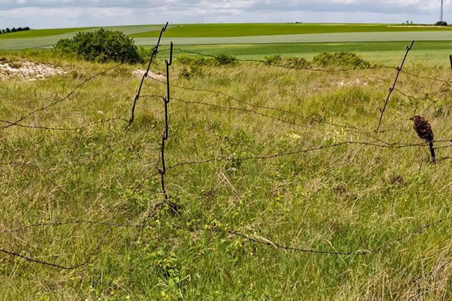 Barbed wire