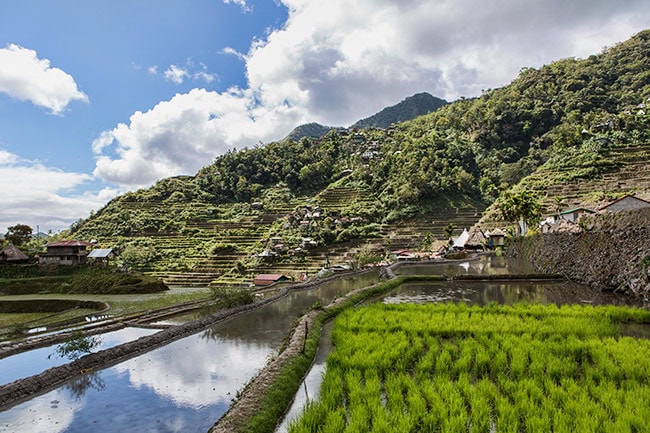 Batad Rice Terraces