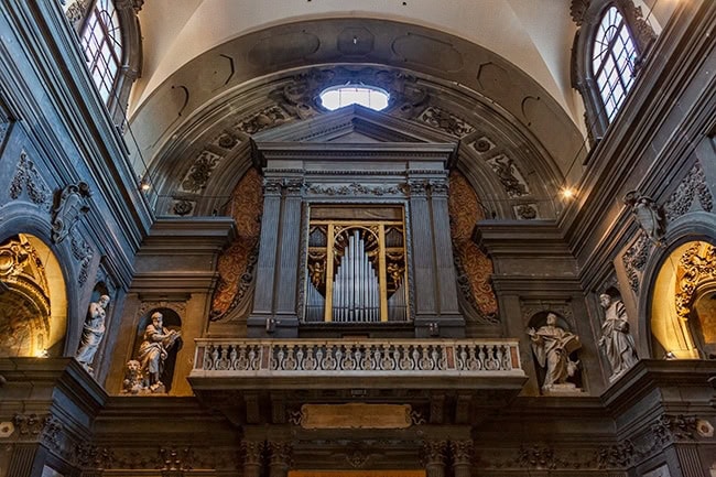 The organ