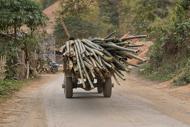 Can you hear the noise?