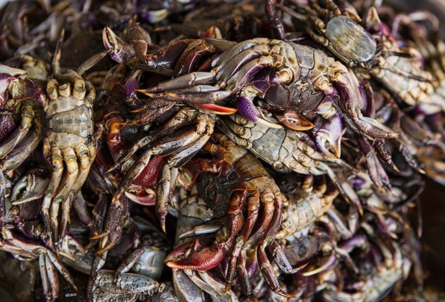 Chinatown Bangkok Seafood Street