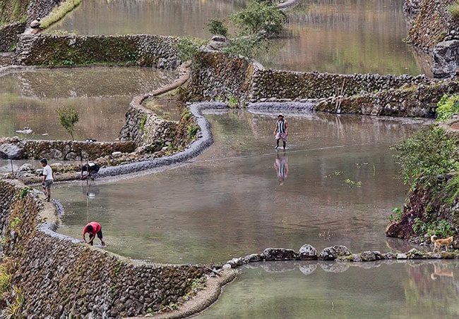 Batad Rice Terraces