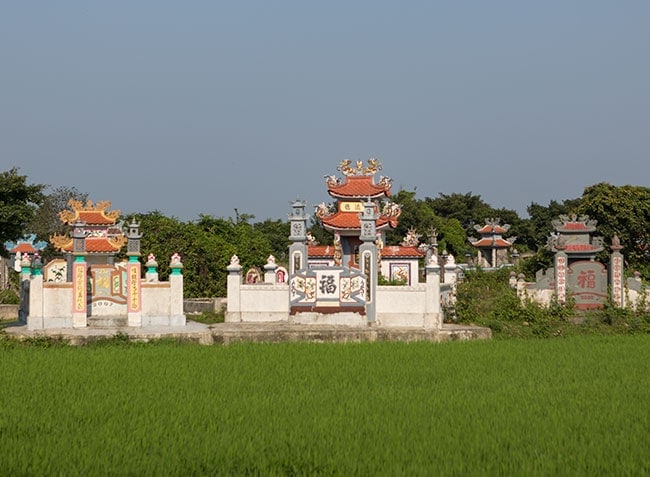 Graves in a rice field