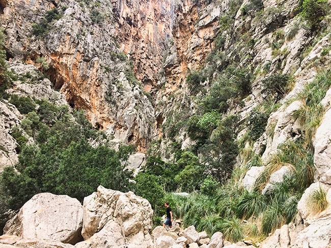 Torrent de Pareis