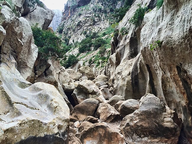 Torrent de Pareis