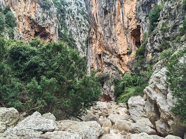 Torrent de Pareis Trail