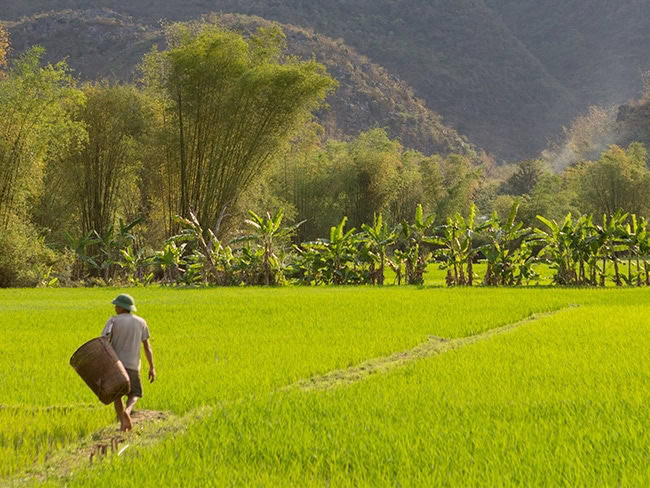 Farmer on the way home