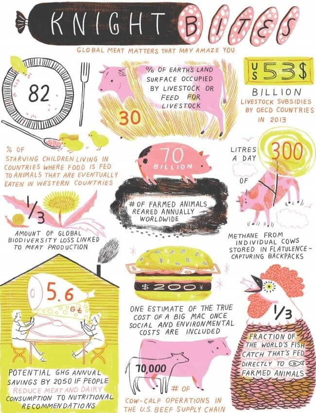 KNIGHT_BITES_FINAL_large