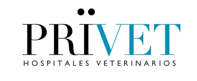 privet1