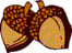 acorns