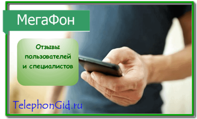 услуга СМС чек Мегафон что это