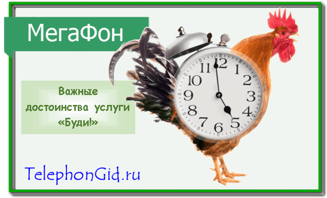 Буди Мегафон