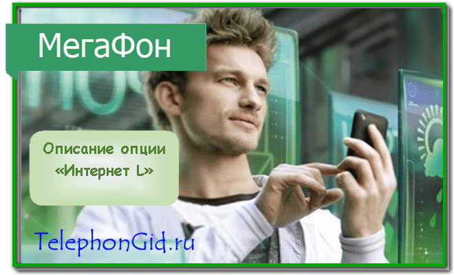 опция Интернет L