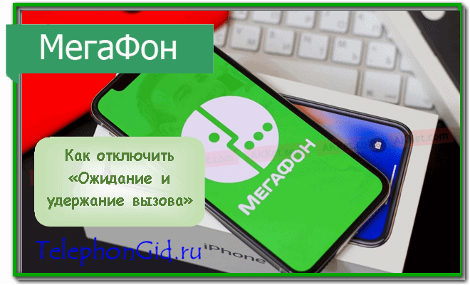 Ожидание Удержание вызова