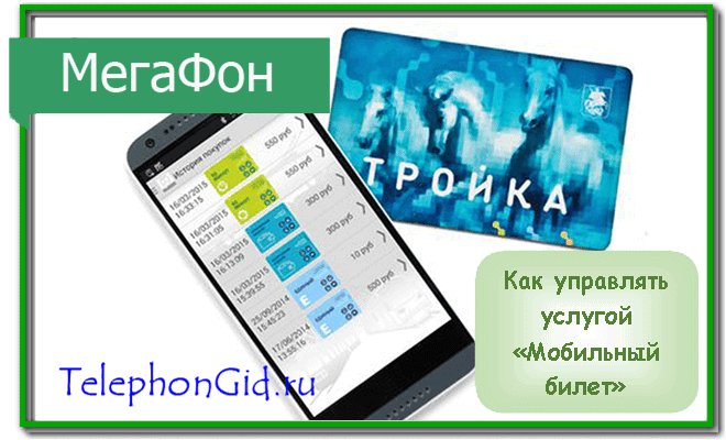 Мобильный билет Мегафон