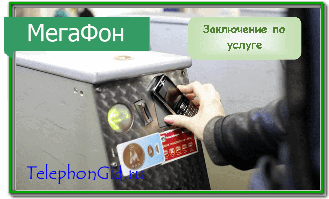 Мобильный билет Мегафон