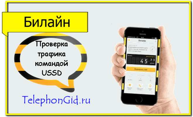 Как проверить остаток интернета на Билайне