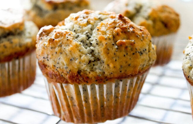 Orange Lemon Poppyseed Muffins - A zesty twist on a classic citrusy breakfast treat!