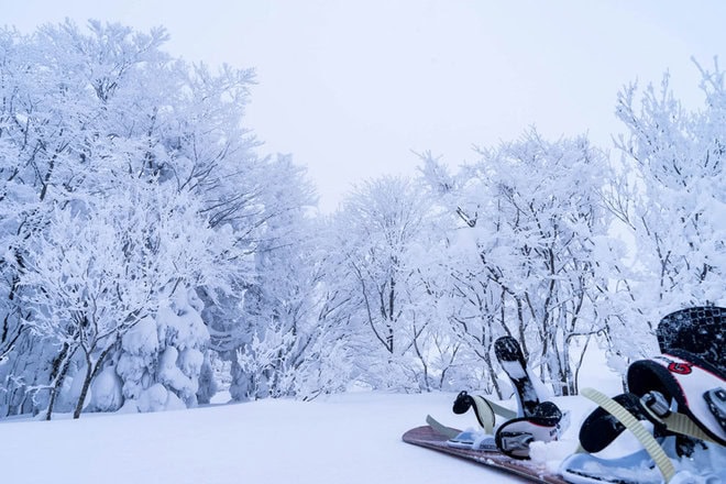 2m超えの豪雪。1m近くが新雪