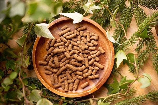 猪肉のドッグフード Forema Basis