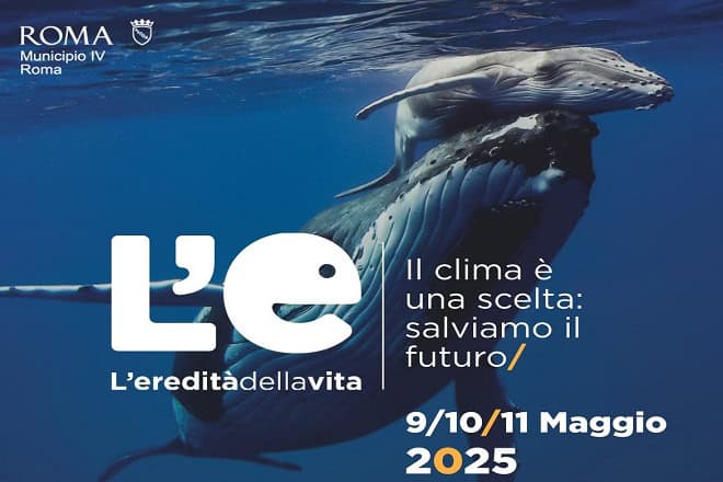 mostra