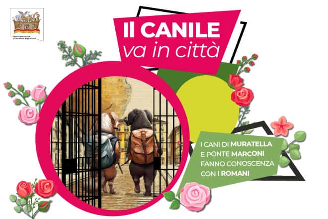 cani