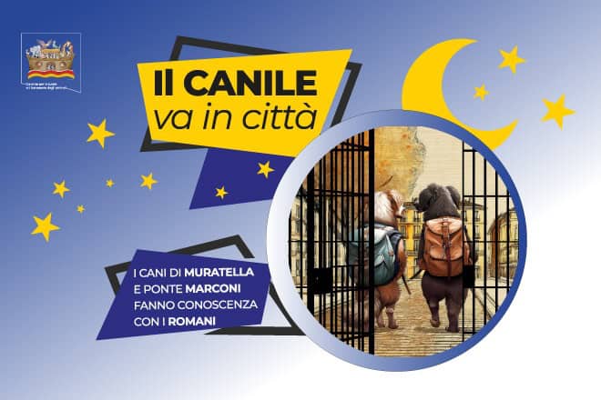 canile