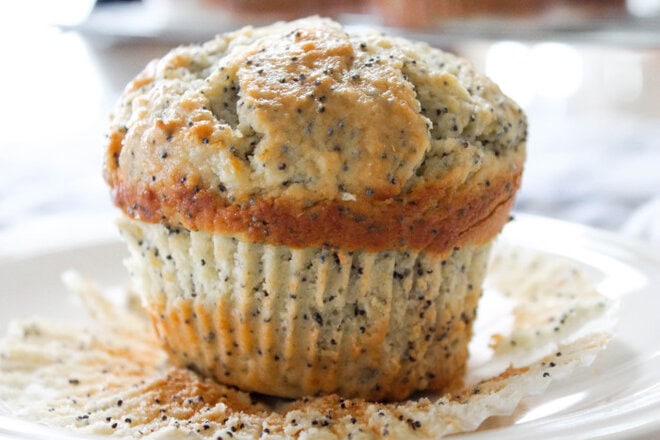 Orange Lemon Poppyseed Muffins - A zesty twist on a classic citrusy breakfast treat!