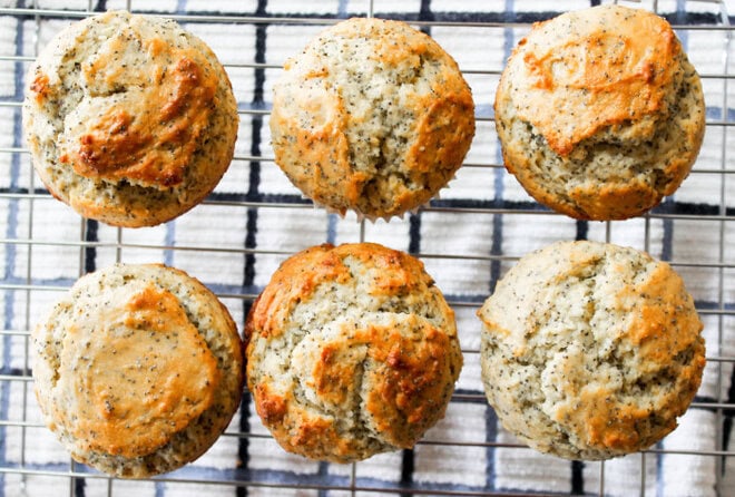 Orange Lemon Poppyseed Muffins - A zesty twist on a classic citrusy breakfast treat!