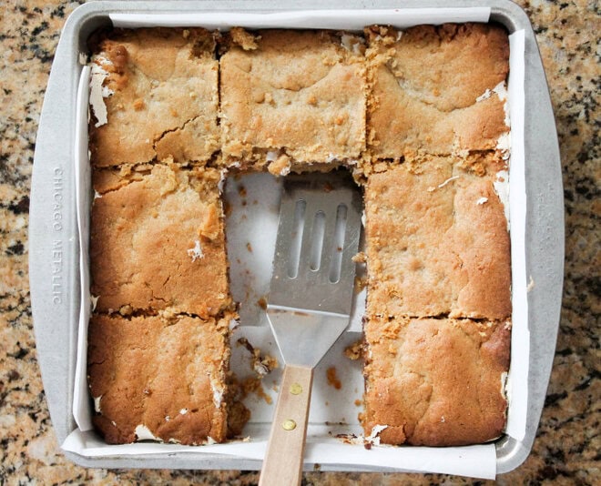 Peanut Butter S'mores Bars - The perfect way to enjoy S'mores all year round!