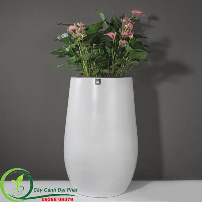 Chậu composite tròn bầu T3