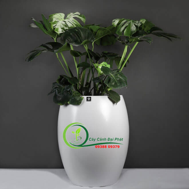 Chậu composite tròn bầu T4