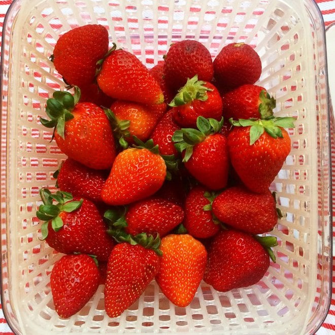 Strawberry Sugar Cookie Sandwich 